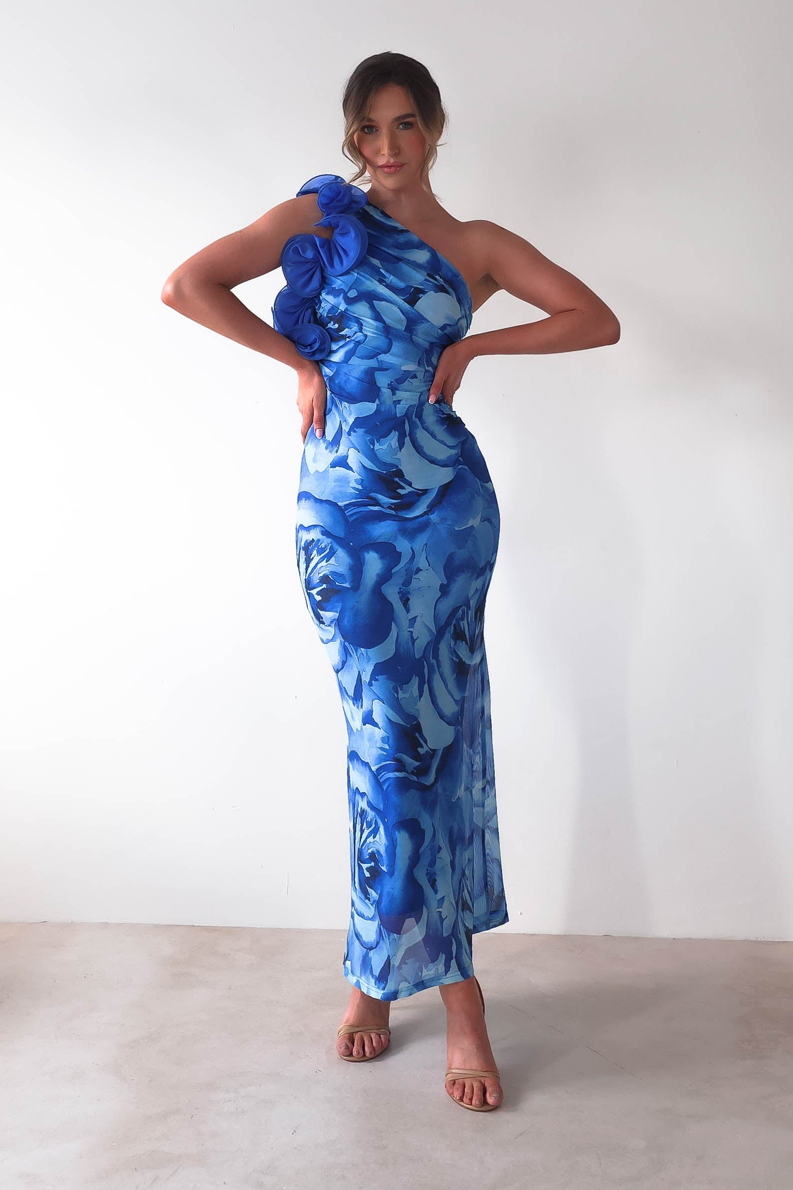 Genie Ruffle Printed Maxi Dress | Blue | Oh Hello Clothing | XS (6)
