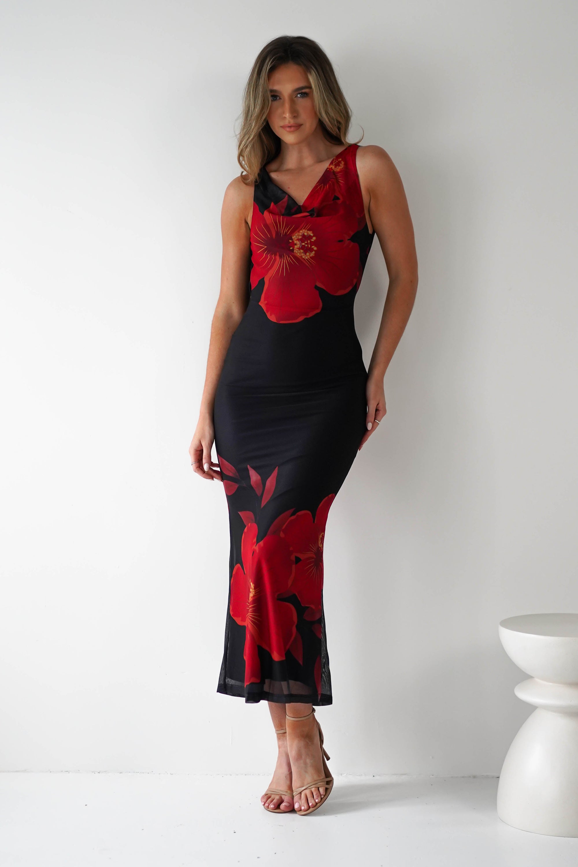 Meadow Mesh Maxi Dress | Black/Red | Oh Hello Clothing | XS (6)