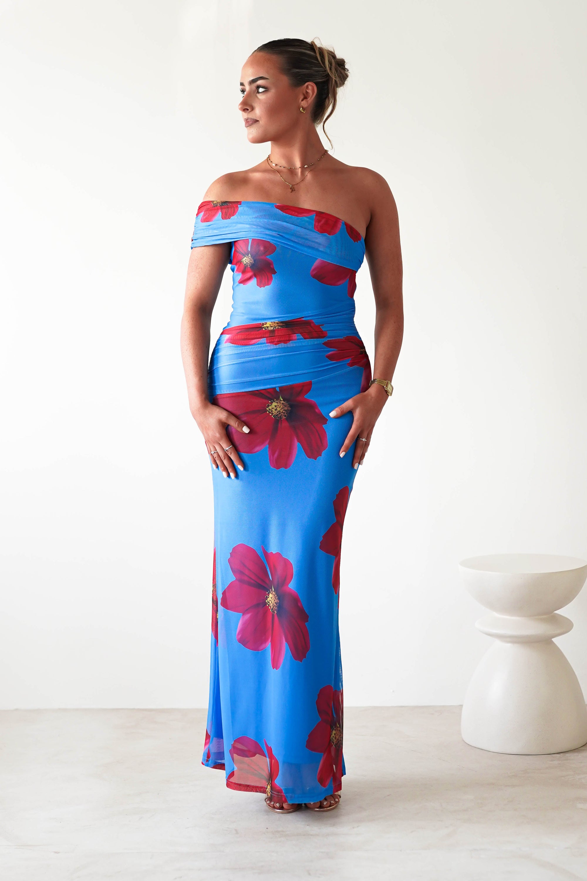 Solara Floral Print Mesh Maxi Dress | Blue | Oh Hello Clothing | XS (6)